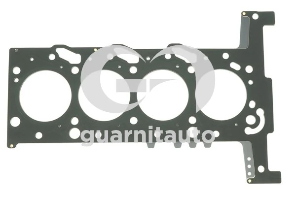1015195253 Guarnitauto