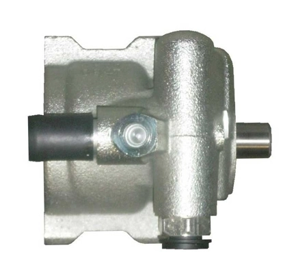 Comprar S5055005 Polcar Bomba servodireccion