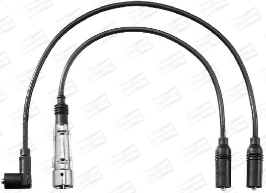 CLS079 Champion