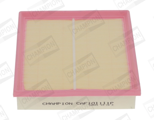 CAF101111P Champion