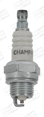 CCH8531 Champion