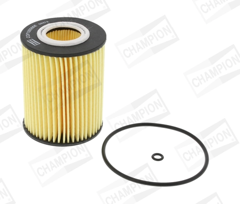 1613723480 Peugeot/Citroen Filtro aceite