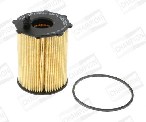 COF100529E Champion