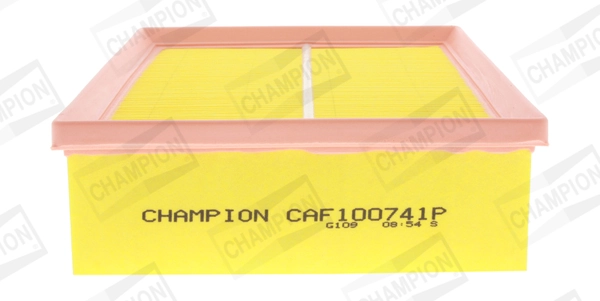 CAF100741P Champion