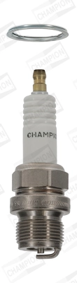 CCH569 Champion