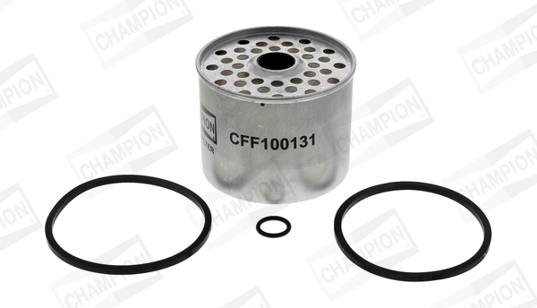 CFF100131 Champion