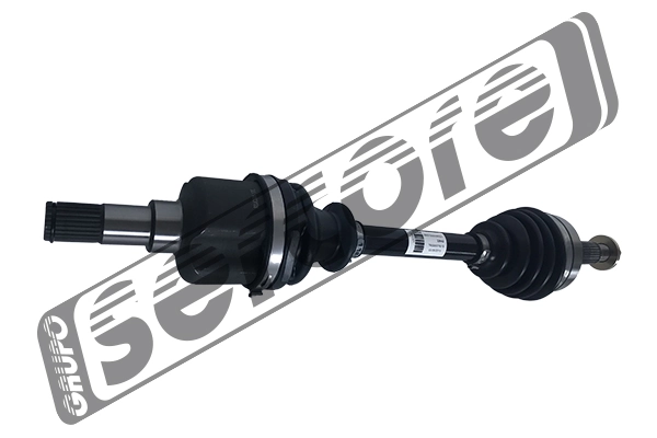 22642 Sercore