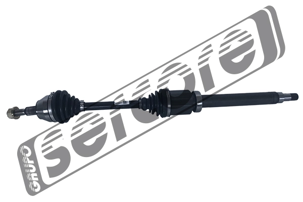 221590 Sercore