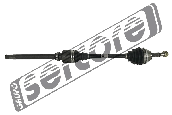 22455A Sercore