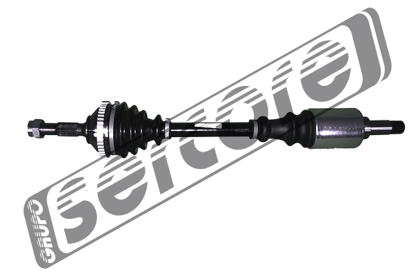 22744 Sercore