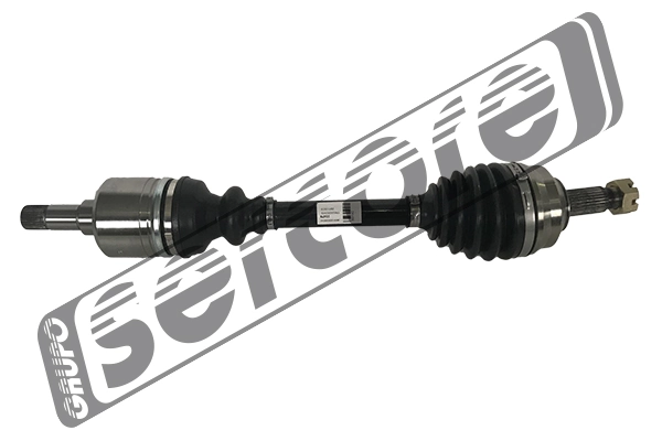 22479 Sercore