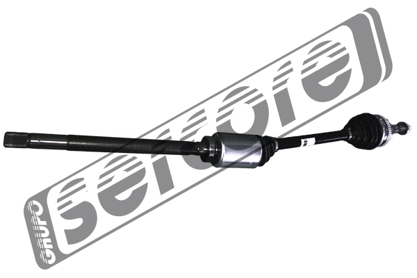 22801 Sercore