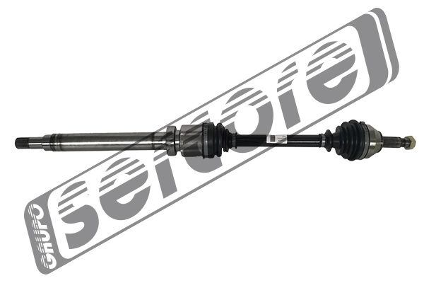 22577 Sercore