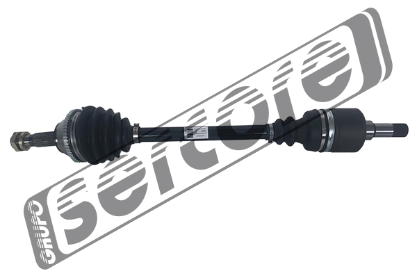 22456 Sercore