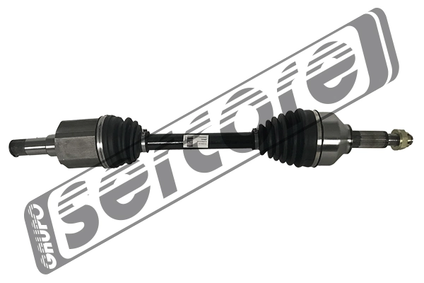 221667 Sercore