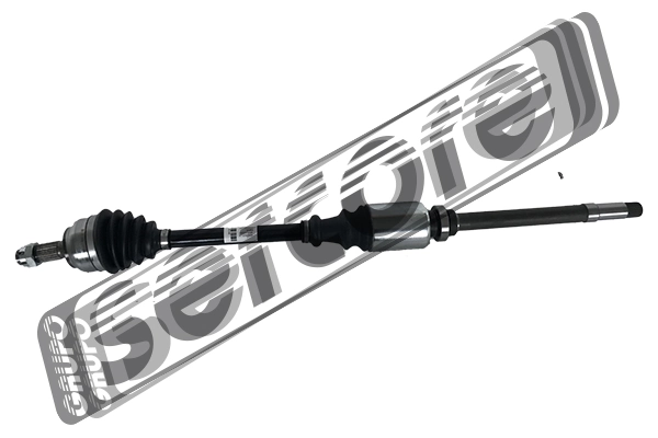 22402 Sercore