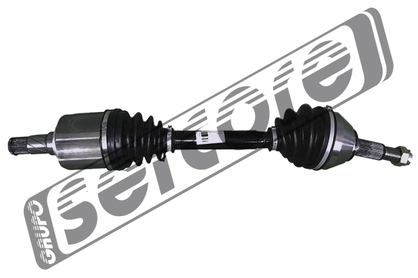 221554 Sercore