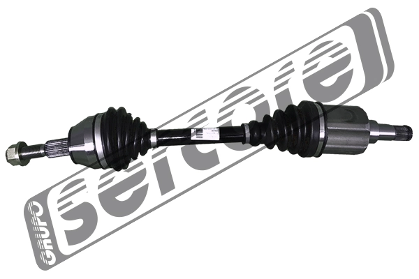 221589 Sercore