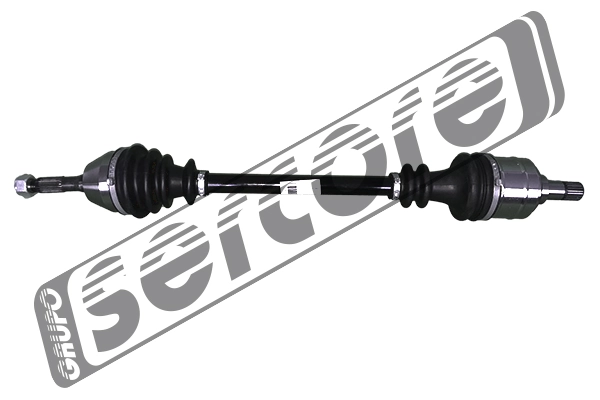 22752 Sercore
