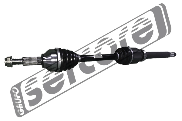 221668 Sercore