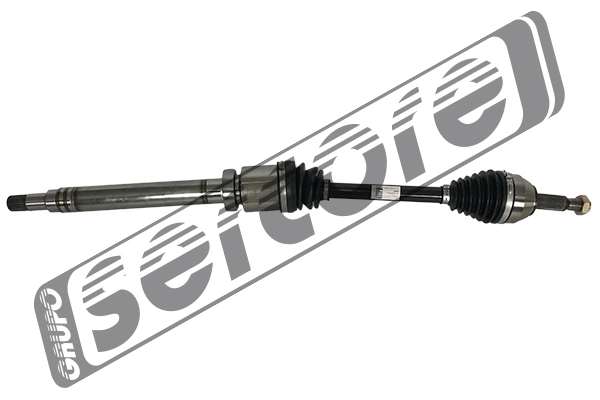 22616 Sercore