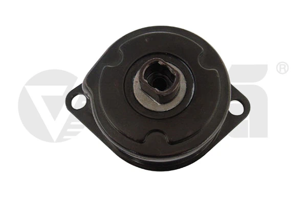 19030285801 Vika