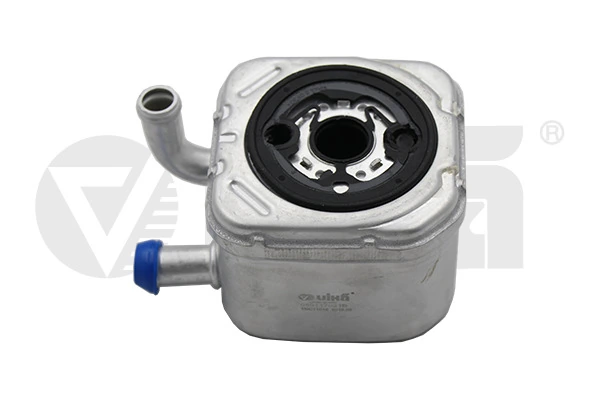 11170067901 Vika