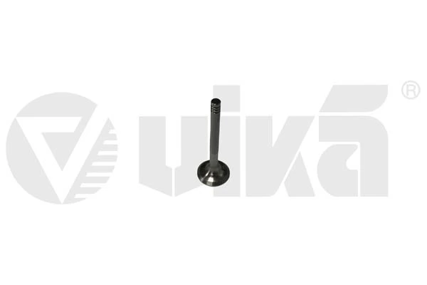 11090214001 Vika