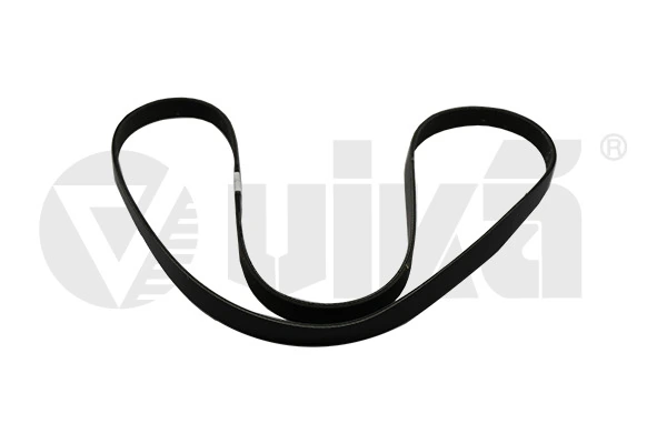 Correa poly v para BMW X3  F25