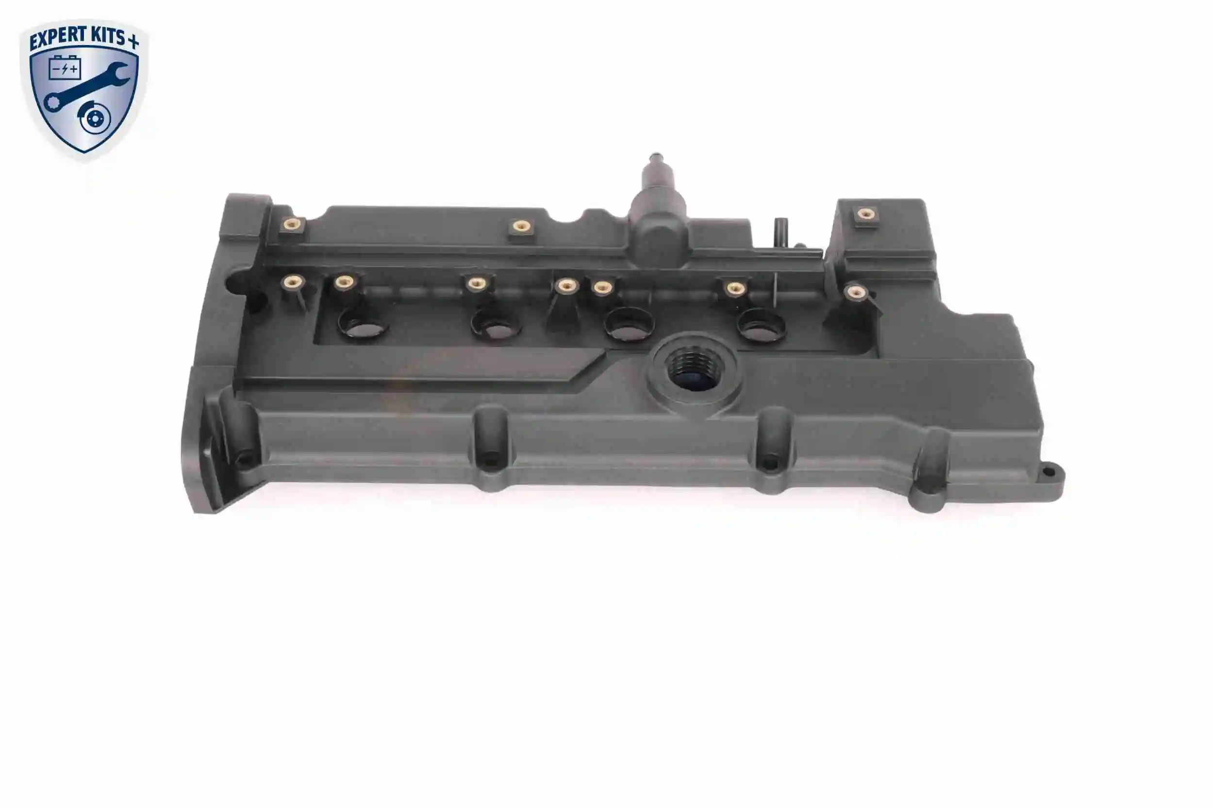 Tapa de balancines A520365 Ackojap