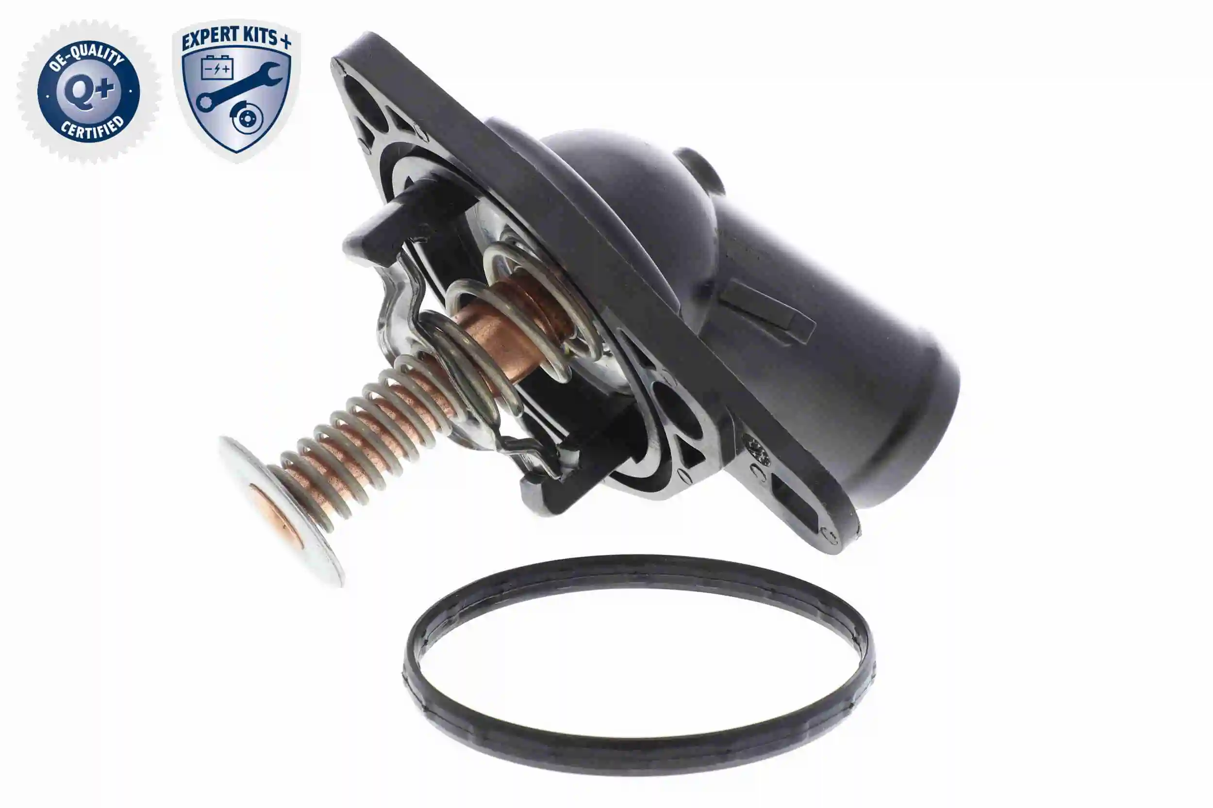 Termostato Ackojap A26990012 precio, desde 19,89 EUR