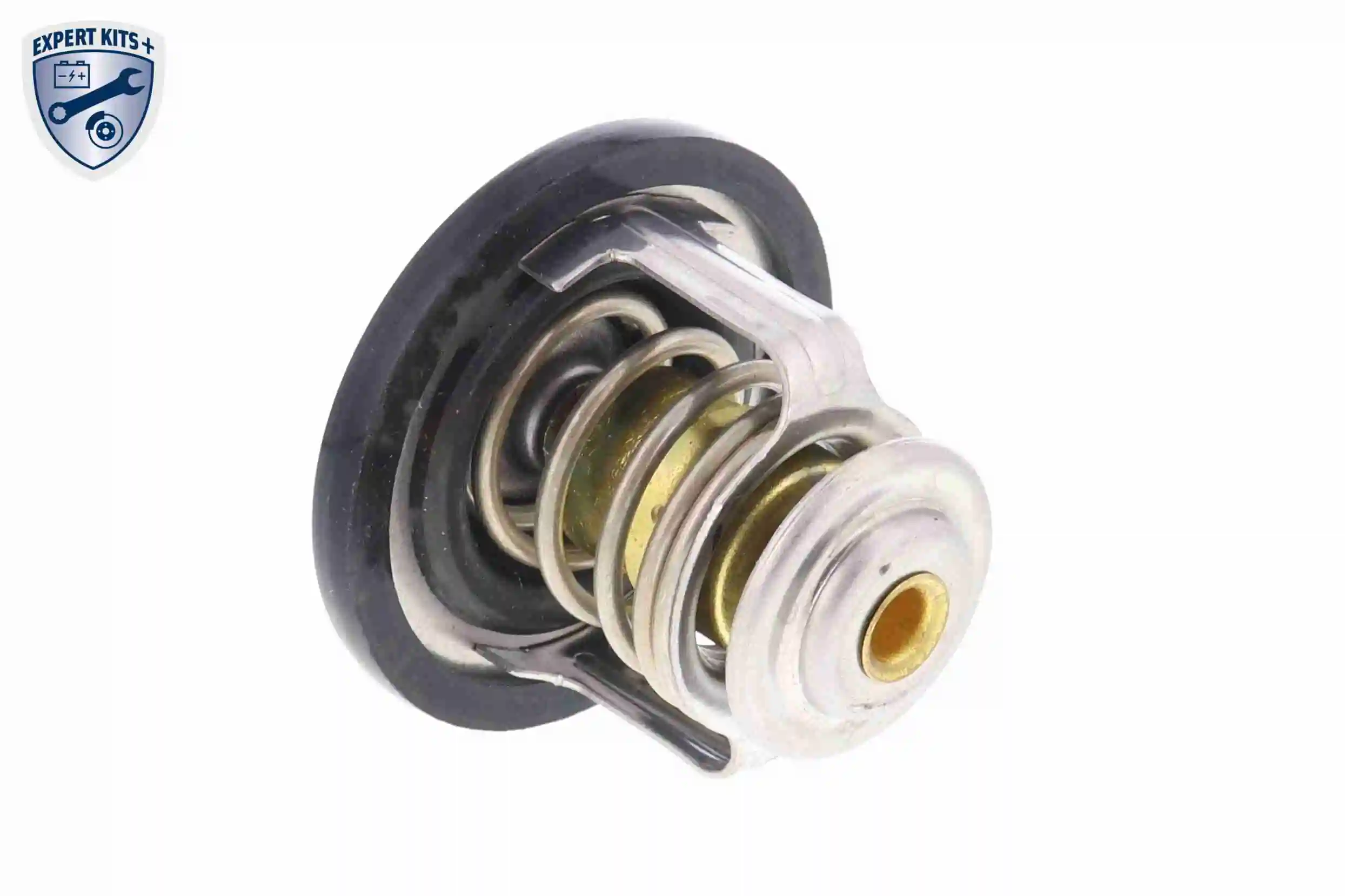 A55990001 Ackojap Termostato de agua