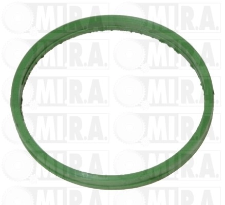 164480G Mi.r.a.