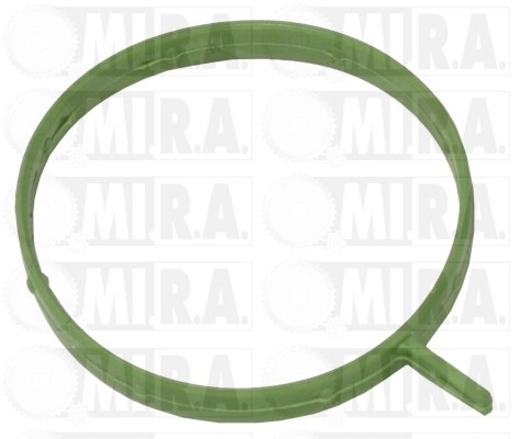 134101G Mi.r.a.