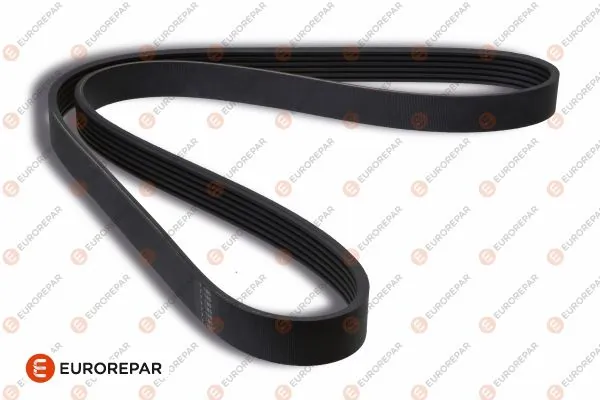Correa trapezoidal dentada Citroen C3 II (2R, 2C)