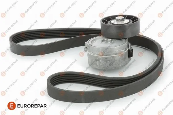 Precio del repuesto Correa de transmisión C-Max  monovolumen