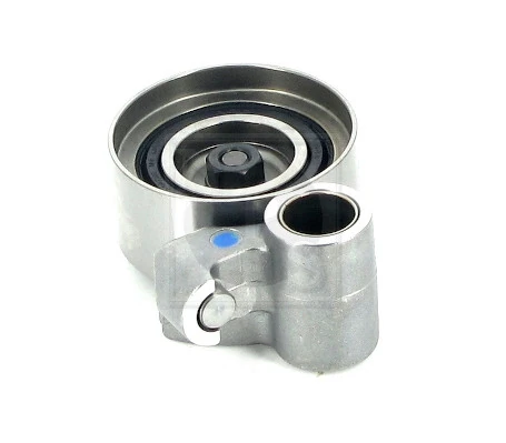 T113A45 NPS