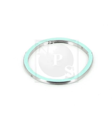 T433A01 NPS
