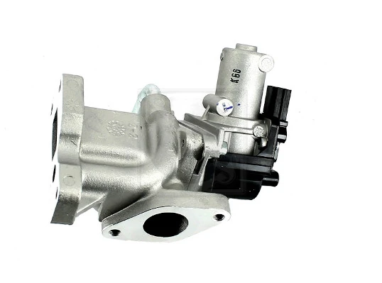 S564G00 NPS Válvula EGR