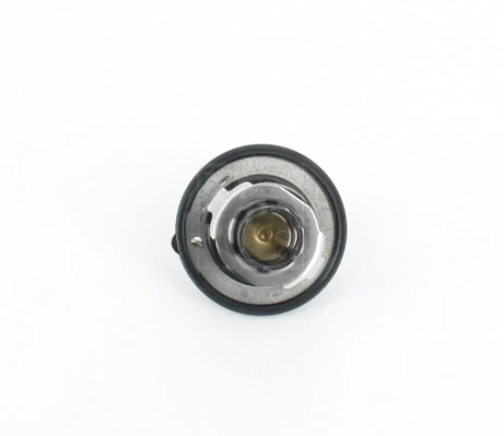 M153A28 NPS Termostato de agua