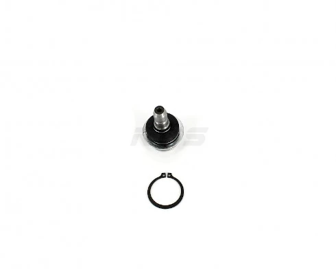 D420O23 NPS