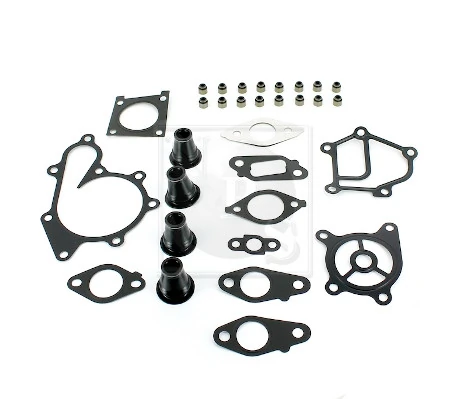 Juego juntas motor para Nissan Navara NP300 III D40