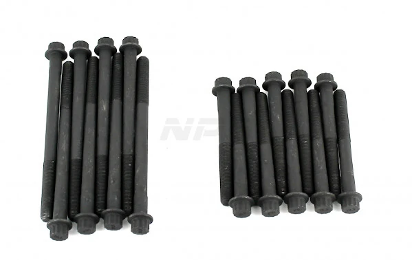 T128A33 NPS