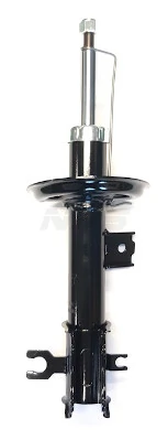 D490O52 NPS