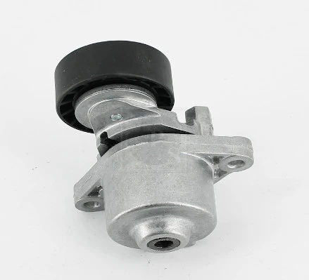 Tensor de la correa trapecial poli v Japan Cars E20309OEM