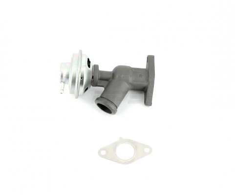 Comprar EGR Peugeot 406  8B