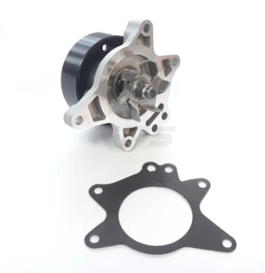 Comprar CP290000S Mahle Original Bomba de agua para motor