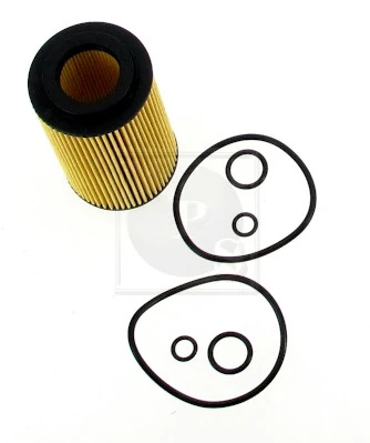 H131A05 NPS