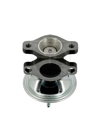 Válvula EGR para KIA Carnival II GQ