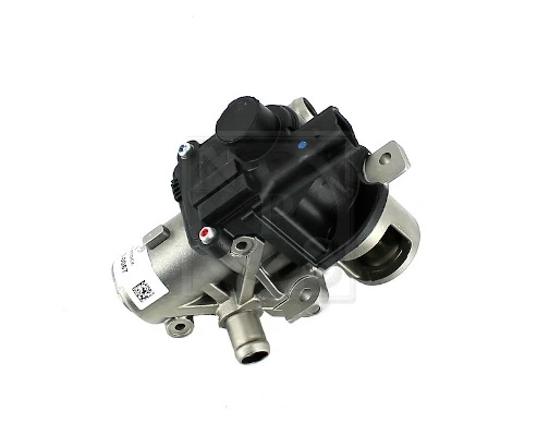 Comprar Válvula EGR Renault Scenic III JZ0, JZ1